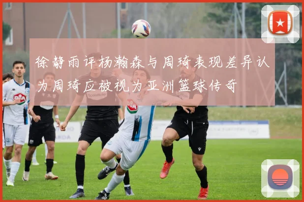 徐静雨评杨瀚森与周琦表现差异认为周琦应被视为亚洲篮球传奇